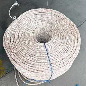 Factory Direct 6mm 12mm <strong>PP</strong> <strong>Rope</strong> 3Strand/4Strand Twisted Polypropylene <strong>Rope</strong> Custom <strong>PP</strong> Packaging Fishing <strong>Rope</strong> - Product Image 4