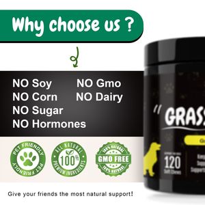 หญ้าสีเขียวเผาจุดเคี้ยวสำหรับสุนัขธรรมชาติโปรไบโอติกเอ<span class=keywords><strong>น</strong></span>ไซม์ย่อยอาหารเสริมป้องกั<span class=keywords><strong>น</strong></span>หญ้าที่ตายแล้วและปัญหาทางเดิ<span class=keywords><strong>น</strong></span>อาหาร - Product Image 3