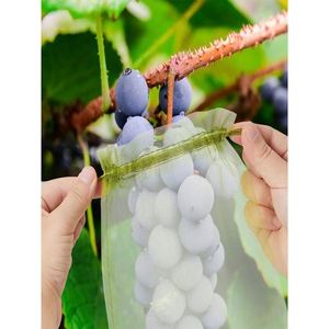 Nylon Customizable Fruit Fly-Insect & Bird Proof Mesh Bag Thick Protective Encrypted Grape Bacon Drying <b>Netting</b> - Product Image 2