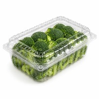 Conteneur alimentaire jetable en PET rectangulaire transparent à charnière pour sushis, salades, pizzas, pâtes, hamburgers, emballages à emporter