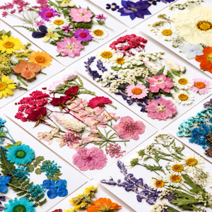 Fleurs séchées pressées en vrac, kit de spécimens botaniques pour la résine, scrapbooking, décoration DIY, couleurs assorties, 16-23 pièces - Product Image 2