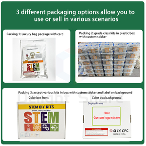 DIY 组装套装 16 件套 1-6 年级 STEM 玩具 教育用木制和塑料科学实验套件 适合 8 岁以上儿童 - Product Image 4