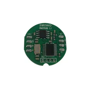 Internal Module RW-IT01D-DM2508 MV Signal Input RS485 Output Digital Signal Board