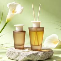 Grande bouteille diffuseur en verre de 200 ml et 500 ml pour l'aromathérapie et la fragrance d'intérieur, forme et logo personnalisés