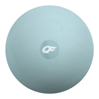 Ballon de yoga et de Pilates mini en PVC mat de 20 cm, anti-explosion, antidérapant, écologique, pour l'entraînement de base et l'équilibre à domicile