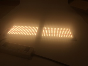 Lámpara de Cultivo LED COB de Espectro Completo de 240W, Panel de Aluminio de 3 pies para Plantas de Interior con Función de Atenuación, IP65 - Product Image 5