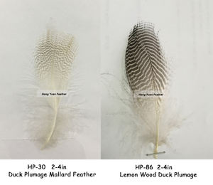Plumes de canard à bandes naturelles teintes en gros, lavées, brutes, pour la pêche à la mouche, l'artisanat DIY, les arts, les accessoires de cheveux, les chapeaux - Product Image 3