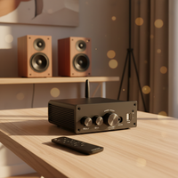 100W*2 Kablosuz 5.0 HIFI Güçlü Ev Amfisi 2.0 Kanal Ses Stereo Ekolayzırlı Amfi Alıcısı OEM Marka Özel Kalıp CN/GUA