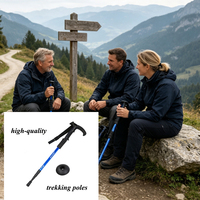 Bâton de marche robuste avec tube en aluminium, poignée en plastique et embout en caoutchouc, prise en main confortable pour les longues randonnées en extérieur