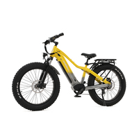 Nouveau double entraînement e vélo gros pneu e vélo de montagne 48v vélo de ville électrique bafang cruiser 750w/1000w couple détection croiseur de plage