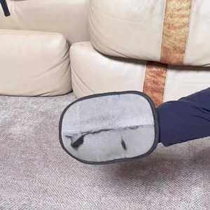 Brosse anti-statique de toilettage pour l'élimination des poils de chien des tapis et des vêtements – Nouveauté en gros - Product Image 1