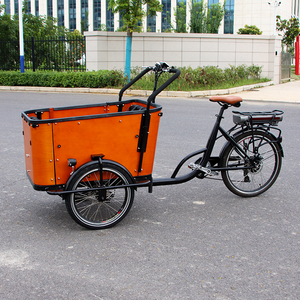Tricycle Électrique pour Enfants, Meilleur Vélo Cargo Électrique à Trois Roues avec Chargement Frontal, Quatre Places, pour Adultes et <span class=keywords><strong>Personnes</strong></span> Âgées, Expédié depuis l'Entrepôt Européen - Product Image 1