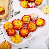 Vente en gros de fleurs de Bracteantha Bracteata séchées de haute qualité, fleurs de paille entières saines, thé de chrysanthème coloré arc-en-ciel