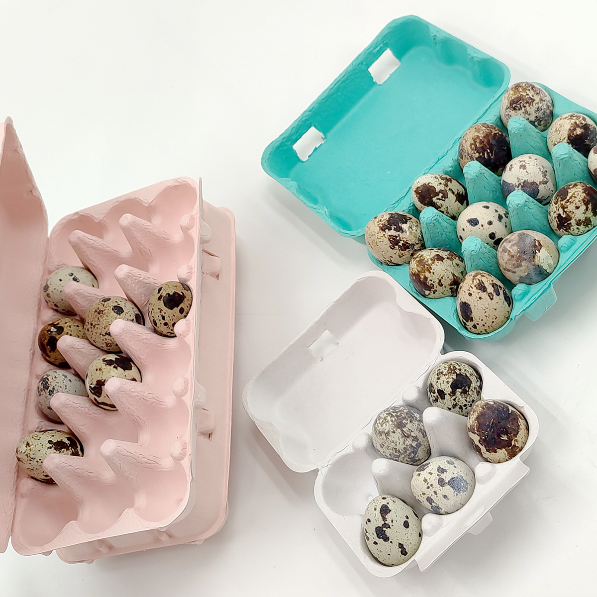 Paper Pulp Quail Egg Carton Manufacturers China Customized Products