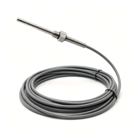 Sonde de température Ingersoll Rand avec câble, transducteur de température de compresseur d'air haute précision 19035641