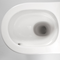 Design moderne Piège en P monté au sol Piège en S Offre Spéciale Toilette deux pièces Toilette en porcelaine Toilette Armoire à eau chinoise pour personnes âgées