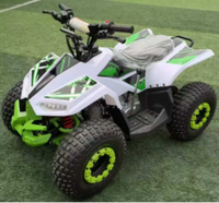 Mini Quad à Batterie, Quad Tout-Terrain pour Enfants, Buggy de Plage Récréatif pour Parcs Touristiques, Manège de Divertissement pour Centres Commerciaux