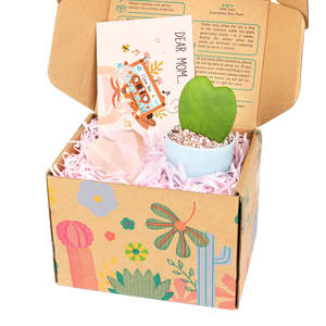 กล่องของขวัญวันแม่พร้อมสบู่รูปหัวใจและพืชอวบน้ำหัวใจ Hoya kerrii ขนาดเล็ก - Product Image 2