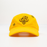 Gorras deportivas personalizadas, diseño de logotipo bordado 3D, gorras de béisbol de moda de estilo urbano fresco ajustables de alta calidad