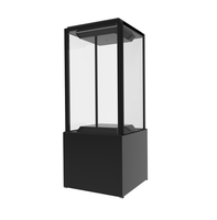 Écran OLED transparent vertical de 55 pouces pour vitrine culturelle et muséale, écran OLED transparent, moniteur