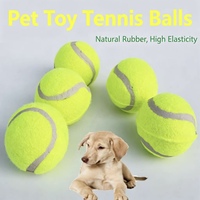 Balles de tennis colorées haute visibilité, résistantes aux morsures, hautement élastiques et durables, balles d'entraînement pour chiens pour terrains durs, en terre battue et en gazon