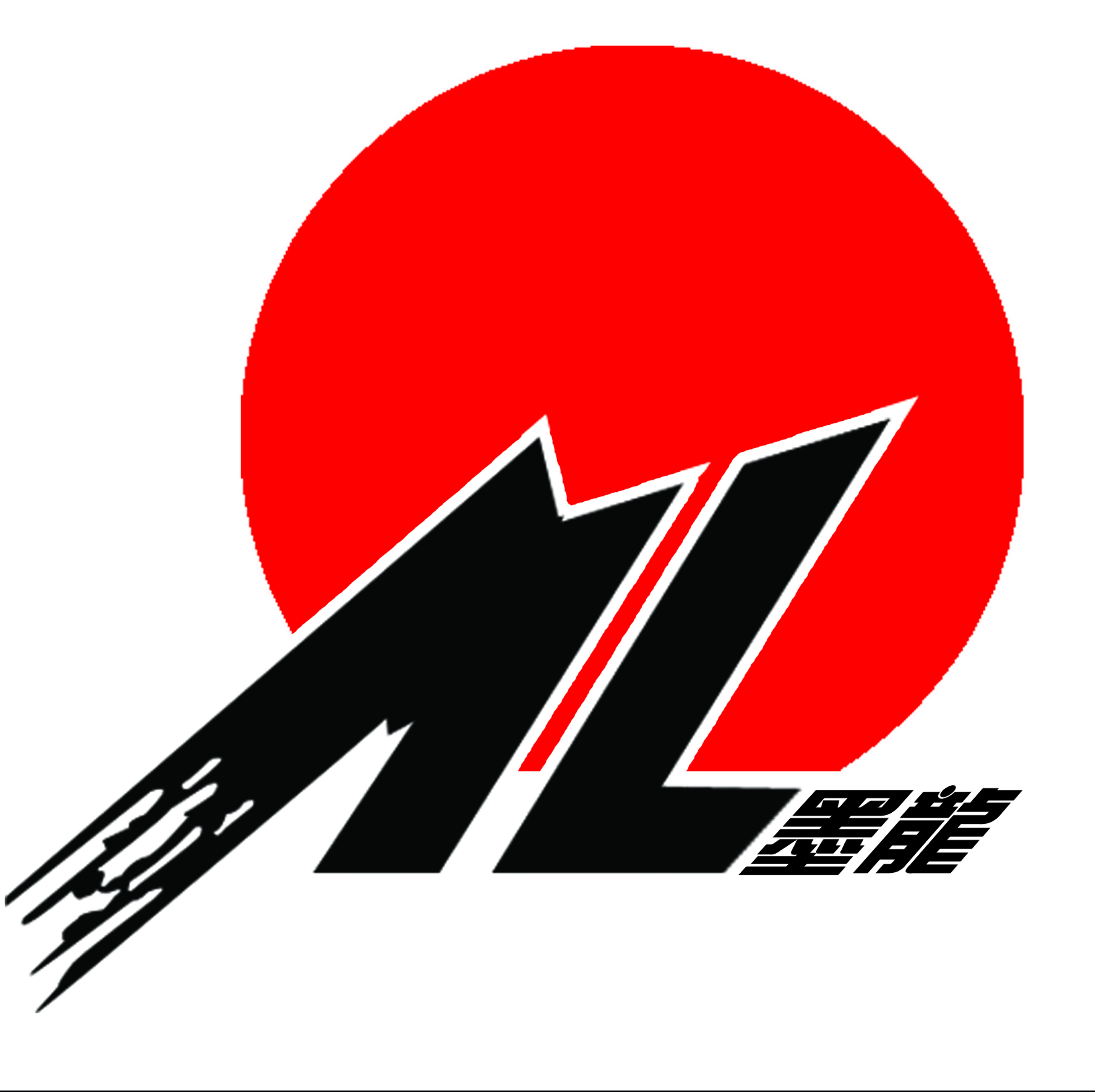 Shandong Molong Petroleum Machinery Co., Ltd. logo