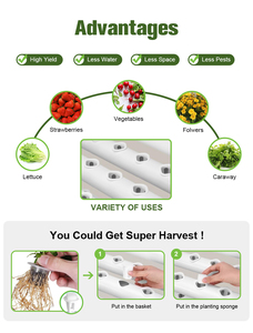 Kit di controllo <span class=keywords><strong>per</strong></span> <span class=keywords><strong>irrigazione</strong></span> intelligente <span class=keywords><strong>per</strong></span> giardino a 108 fori <span class=keywords><strong>per</strong></span> impianti solari a Micro gocciolamento, tubazioni idroponiche - Product Image 4