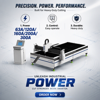 Machine de découpe plasma CNC industrielle haute performance pour table, en acier au carbone et acier inoxydable, 63A 120A 160A 200A, usage intensif
