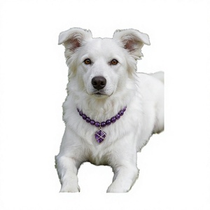 Collier en cristal de guérison pour chiens et chats 2026 - Design vintage élégant et durable, perles naturelles scintillantes, toutes saisons - Product Image 2