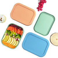 Boîte à lunch rectangulaire en silicone 800 ml grande capacité avec couvercle de qualité alimentaire, compatible micro-ondes pour réchauffer les repas, boîte bento moderne et minimaliste