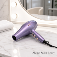 Sèche-cheveux 3000W avec fonction air froid, moteur personnalisé pour usage domestique - Vente flash