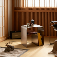 Table basse moderne minimaliste en acier inoxydable argenté avec rangement pour salon et usage domestique