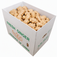 Boîte d'emballage pour asperges en PP personnalisée, pliable, en plastique ondulé PP, pour le transport et le stockage de légumes frais, notamment l'okra.