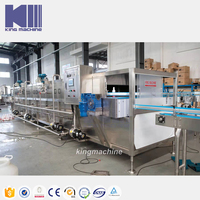 Commerciële Verse Vruchtensap Making Machine Fruitpers Vulling Verpakking Plant