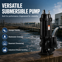 Pompe submersible à double canal haute performance pour eaux usées, en acier inoxydable et fonte, industrielle, anti-colmatage, pour drainage des eaux usées, OEM