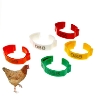 Anneaux de pied de volaille réglables multicolores Anneau de jambe de poulet Anneaux de pied rétractables flexibles pour la volaille
