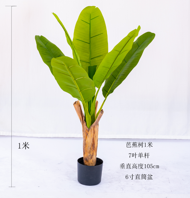 rhododendron 2m hoch kaufen Rhododendron weiß | kaufen main image 0