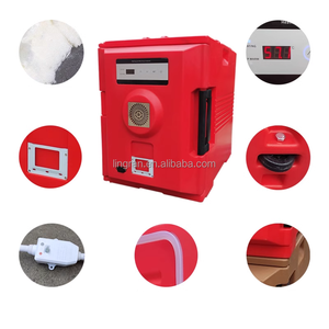 Contenitore Termico Elettrico per Consegna di Cibo Caldo - Product Image 4