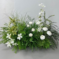 NINI Nouveau design Arche de mariage en métal avec cadre en corne de taureau et plantes vertes suspendues pour arrangement floral