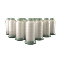 Fil monofilament en polyamide 6 (Nylon 6) coloré, haute résistance, pour couture, 0,125 mm, 0,13 mm, 0,14 mm, 0,15 mm
