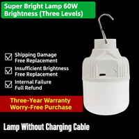 Lampe d'urgence portable solaire à double charge LED ultra-lumineuse pour camping, éclairage de nuit, panne de courant, pêche