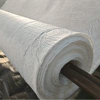 Filet géocomposite pour système d'étanchéité de tunnels - Géotextile composite de drainage 3D en HDPE