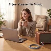 Câble audio SOTAKO USB-C vers double RCA avec DAC intégré, connecteurs plaqués or - Stéréo HiFi pour ordinateur, home cinéma, ordinateur portable, haut-parleur