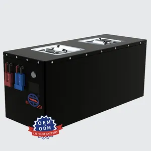 Hot Sale Lifepo4 Motive Battery12v 24v Lithium Ion Battery 100ah 200ah Pack For Engineer Vehicle
