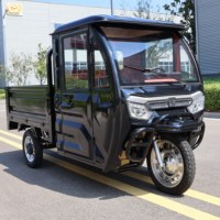 Elektrikli Motosiklet Elektrikli Scooter Tarzı 3 Tekerlekli Elektrikli Kargo Üç Tekerlekli Bisiklet Kapalı Kabinli EEC COC Sertifikalı 2000W