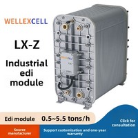 WELLEXCELL Module de membrane EDI à eau ultra-pure IP-LXM45Z de 5 tonnes Composants PLC 220V Tension Garantie 1 an directement des États-Unis