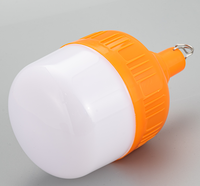 Shotop-ampoule Led Rechargeable d'urgence, appareil d'éclairage Public illuminé, produit chaud