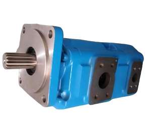 Bomba hidráulica de engranajes de 15 toneladas del fabricante Hansen, Hierro de alta calidad para suministros de lombrices de tierra para grúa cargadora varios - Product Image 6