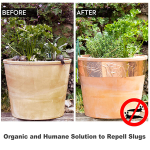 Ruban adhésif double face Limace Ruban de cuivre hautement conducteur anti-limace et <span class=keywords><strong>escargots</strong></span> - Product Image 6