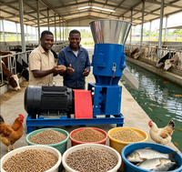 Nouvelle machine à granulés d'aliments pour bétail Sinch 200-500 kg/h en fonte 220V/380V, granulateur 2-3 mm haute efficacité pour la fabrication d'aliments pour animaux